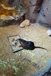 -酷嗒动物文化乐园(cutezoo西溪乐天城店)