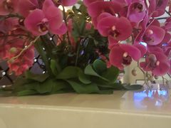 -南方酒店·淮扬菜(回民街店)