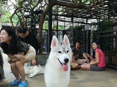 -TrueLove @ Neverland (Husky Cafe)