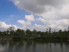 -上海长兴岛郊野公园