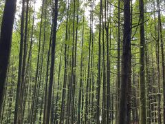 -山王坪喀斯特国家生态公园