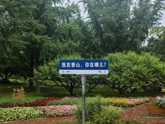 -香山公园