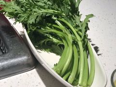 茼蒿-海底捞火锅(团结桥店)