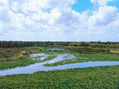 -上海海湾国家森林公园