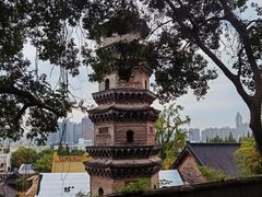 -赭山公园