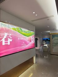 -金夫人美容