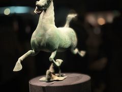 -甘肃省博物馆