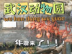 -武汉动物园