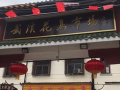-武汉花鸟市场