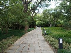 -上海方塔园