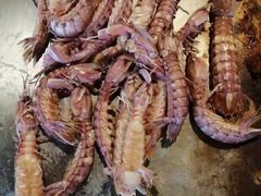 -悦巷海鲜自助铁板烧(秦皇东大街店)