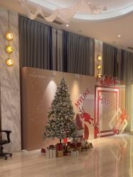 -深圳美莱医疗美容医院