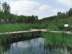 -东郊湿地公园