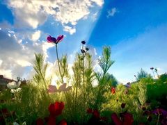 -鑫皇朝酒店(建设一路店)