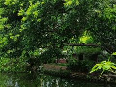 -成都市活水公园