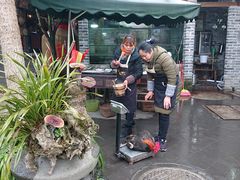 -青城甲(青城山店)