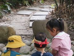 -成都市活水公园