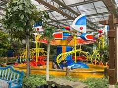 -南宫五洲植物乐园