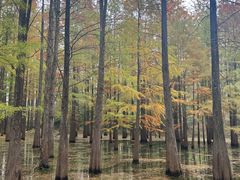 -青龙山国家森林公园