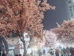 -首开·龙湖成都西宸天街