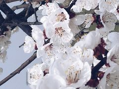 -成都中医药大学(温江校区)