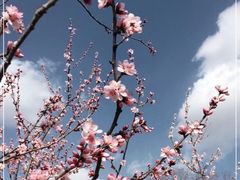 -香山公园
