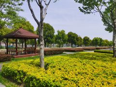 -上海山野camping·户外天幕烧烤·团建拓展营地