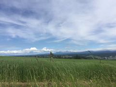 -富田农场