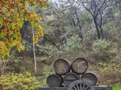 -北京张裕爱斐堡酒庄