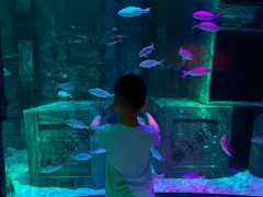 -沈阳海洋探索中心