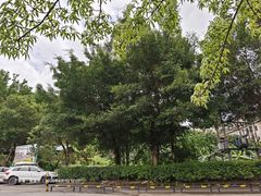 -大屏嶂森林公园