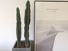 -Hello·生日蛋糕·下午茶·甜品台茶歇(瑞安东山店)