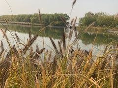 -大兴滨河森林公园