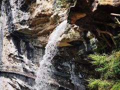 -鹿院坪生态旅游景区