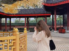 -广东圆玄道观
