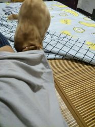 点击看大图 -Dr.林醫生产后修复·超级店(南京江宁同曦店)