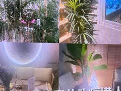 -施奈儿.洗头頭療.按摩SPA.采耳(上梅林店)