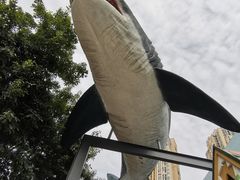 -海合安成都极地海洋公园