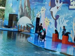 -北戴河圣蓝海洋公园