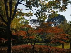 -长广溪湿地公园
