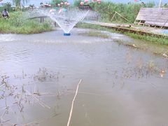 -同銮特种养殖场·龙虾垂钓