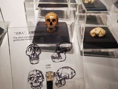 -北京周口店北京人遗址博物馆