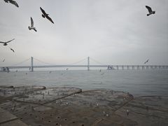 -星海湾跨海大桥