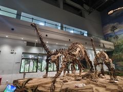 -自贡恐龙博物馆