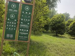 -泗洪洪泽湖湿地景区