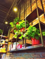 -唐朝造型·甄选