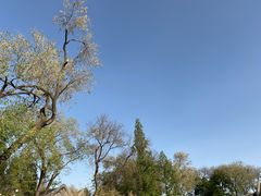 -恭王府博物馆