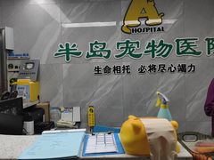 -半岛宠物医院24小时(白果林店)