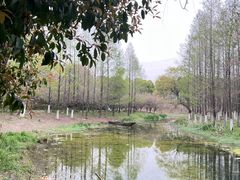 -武汉园博园(武汉自然博物馆)