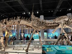 -国家自然博物馆